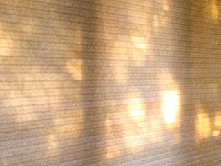 Cellular | Agoura Hills Blinds & Shades, CA Cellular | Agoura Hills Blinds & Shades, CA